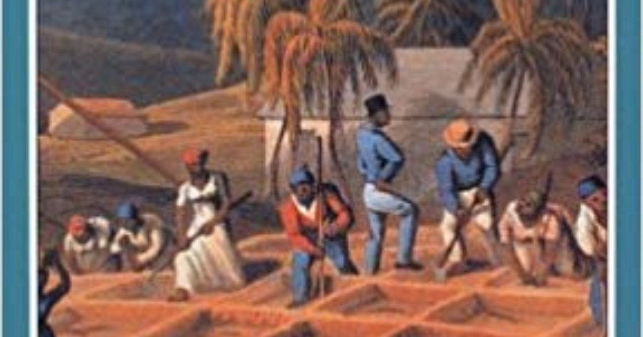 砂糖の世界史』川北稔、岩波ジュニア文庫｜ib_pata