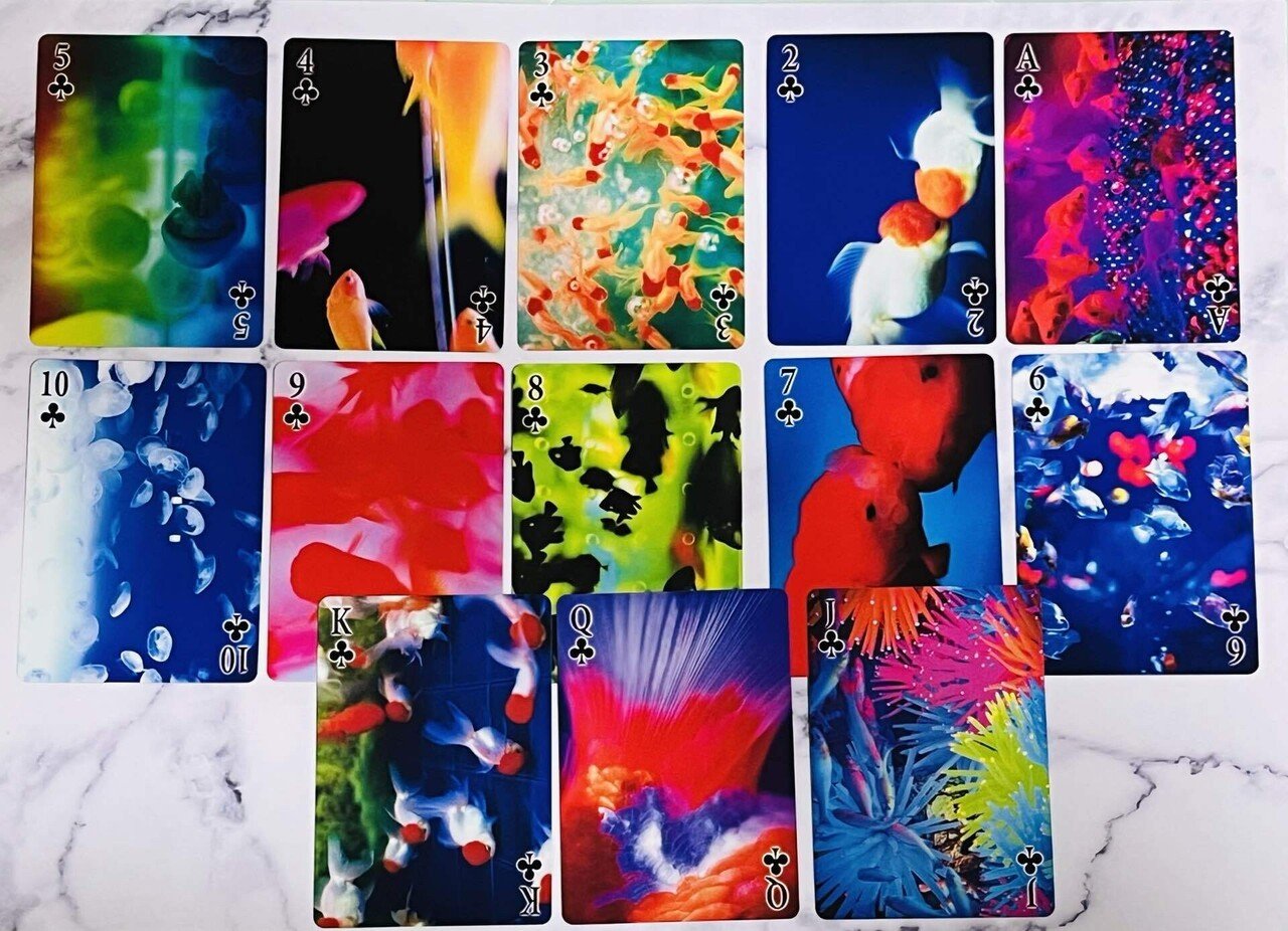 ［限定300部］ New Noir2 [ZINE] 蜷川実花 Noriko | トラベルクリエイター | ⁡ 蜷川実花展で撮った写真達