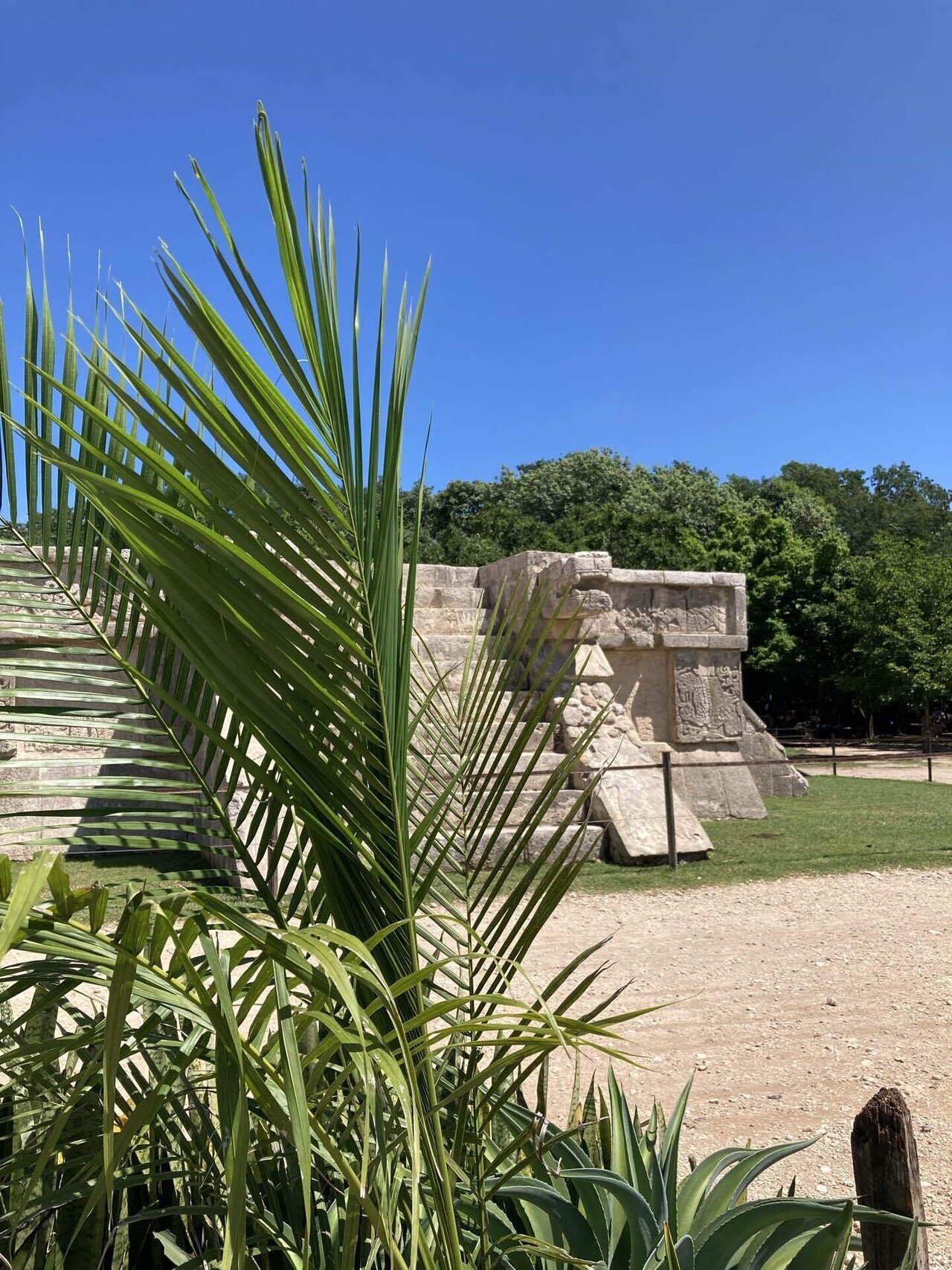 チチェンイッツァ入門編｜旅ブログ from HISメキシコ