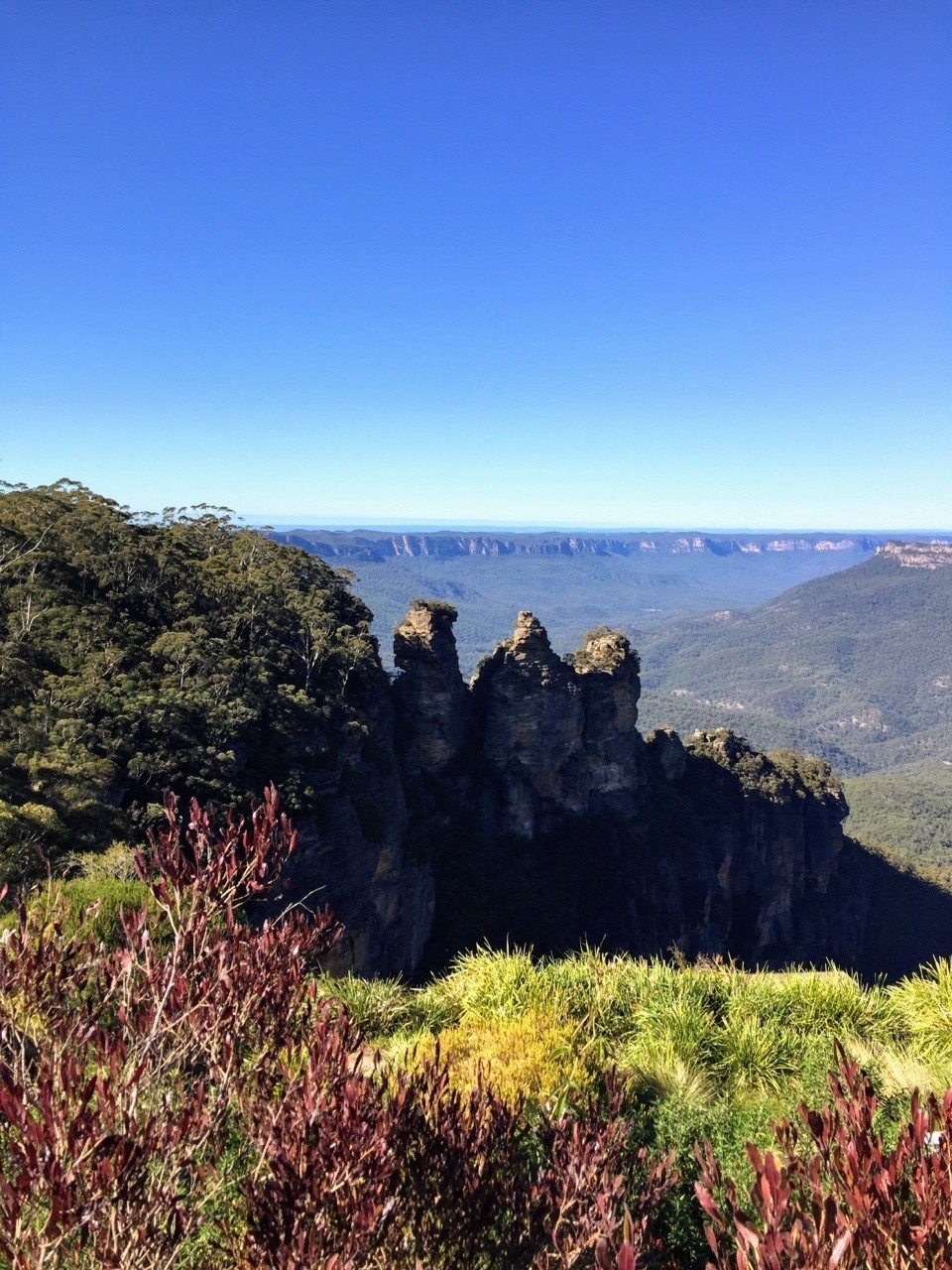 Blue Mountains 国立公園 オーストラリアの野放しカオル Note Blue Mountains 国立公園 オーストラリアの野放しカオル Note