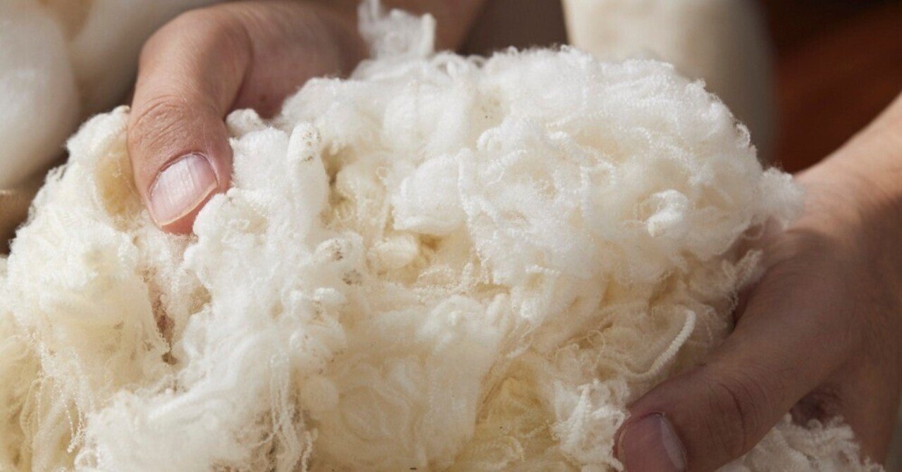 想像をくつがえすウールの世界｜PIZZA DAY OFFICIAL