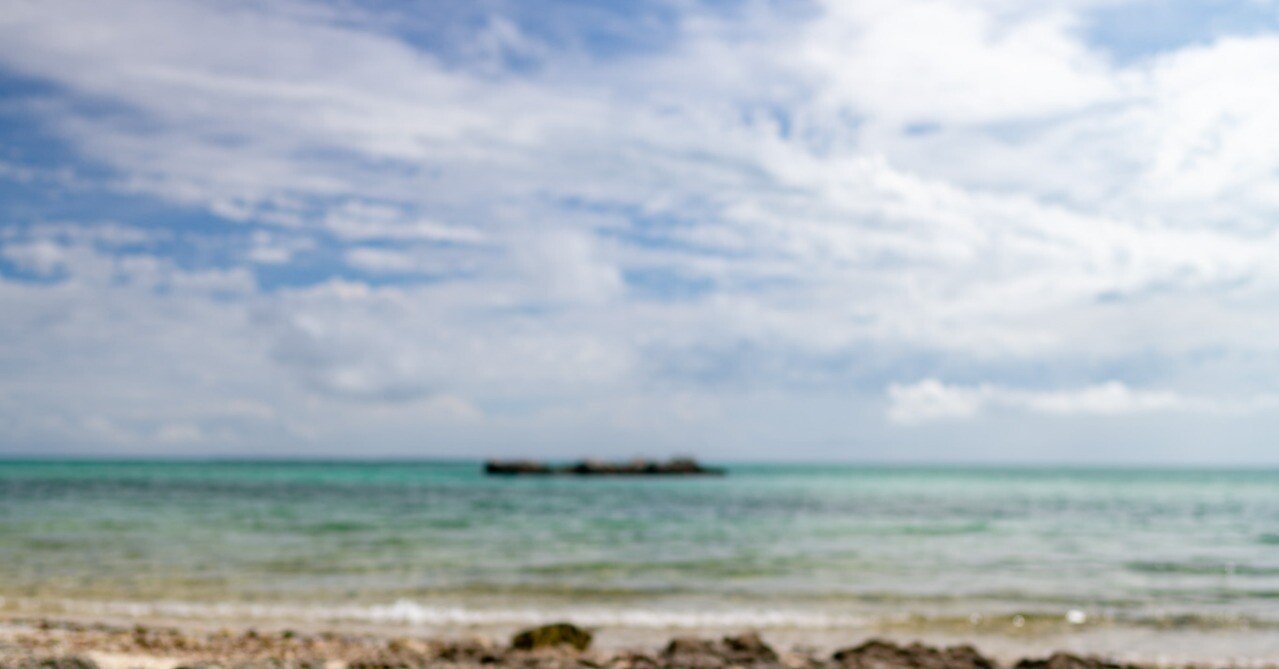 星の砂を探して見よう@カイジ浜｜地域お散歩@星野リゾート