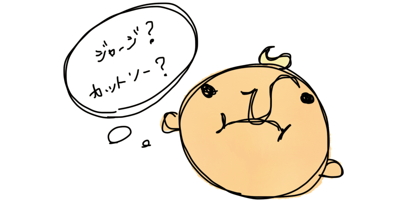 ポンチ とはどういう意味 英語で Ponte Fabric と記述して ポンチ