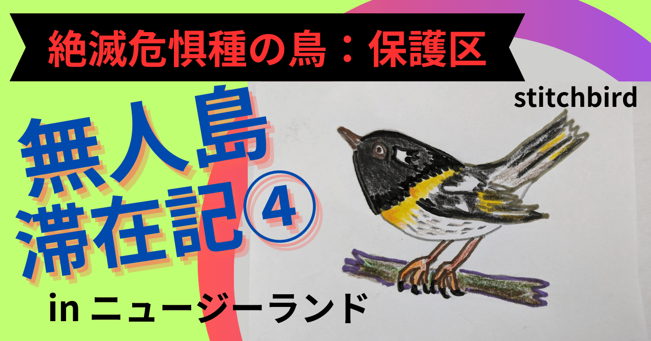 絶滅危惧種の鳥🌏無人島滞在記④保護区inニュージーランド👉驚きの交配