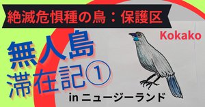 幸せの青い鳥👉飛べないタカへ♬絶滅種から復活した幻の鳥