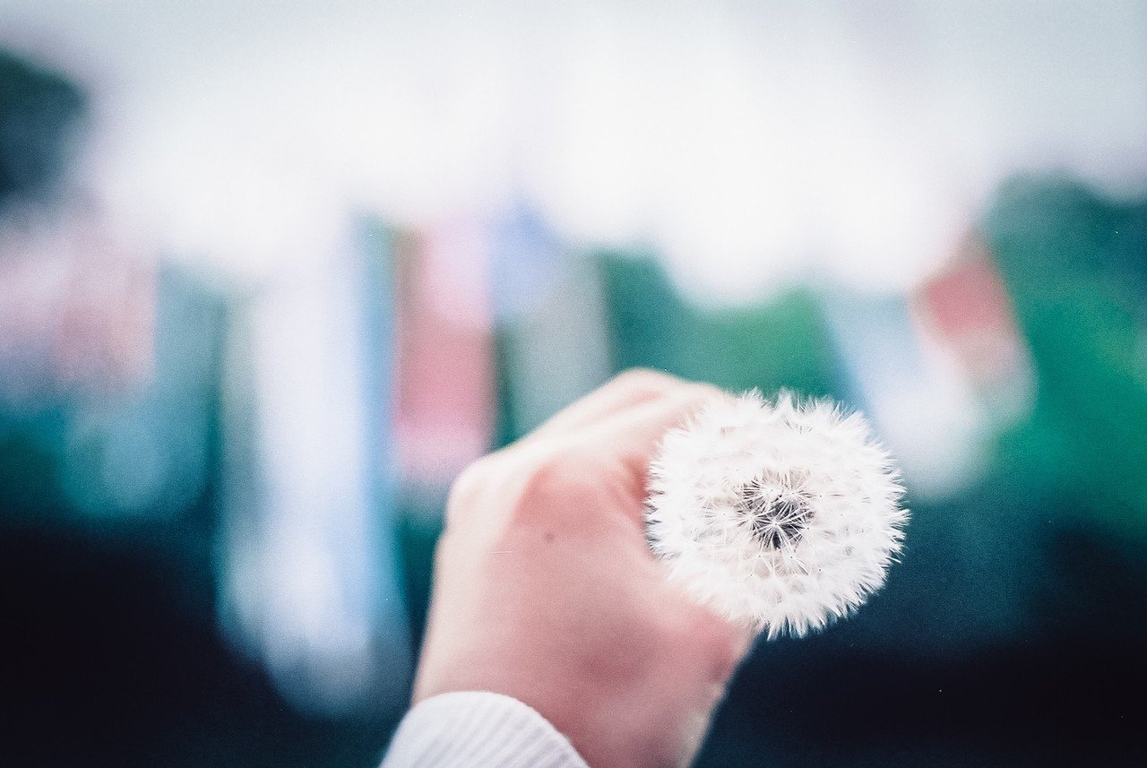 満たされるために ありんこ 瀬戸内移住暮らし Note