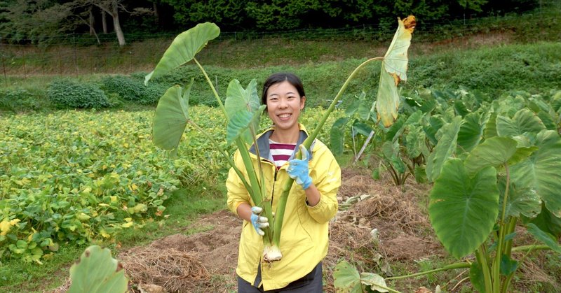 ［2023年度・宮津農旅インターンシップ］獣害から守り抜いた野菜作りと加工を学ぶ5日間