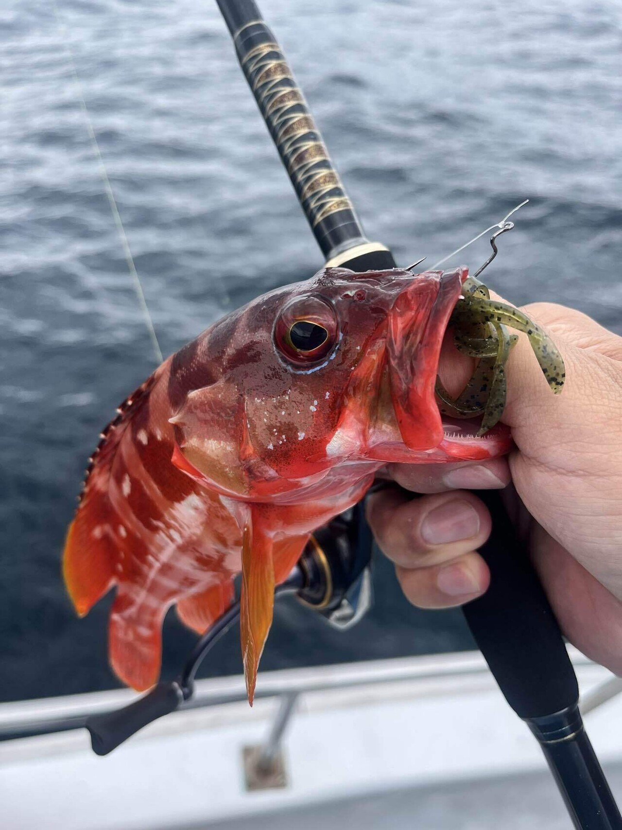未だハタを求めて続けて｜サカイ オツヒト