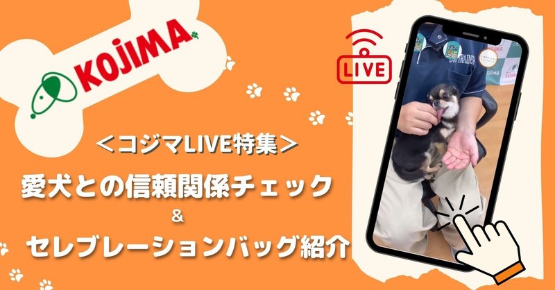 ＜コジマLIVE特集＞愛犬との信頼関係チェック＆セレブレーションバッグ紹介第2弾