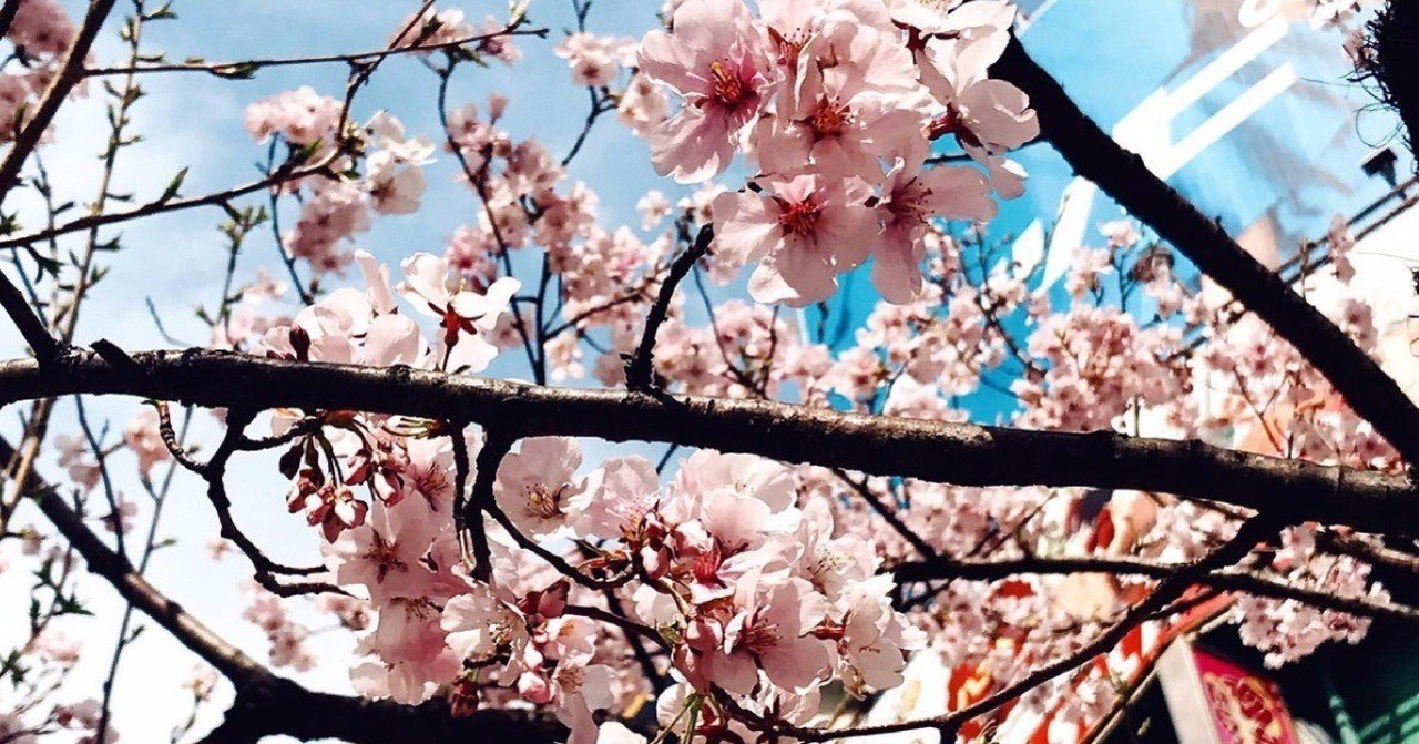 エムスリーに入社しました