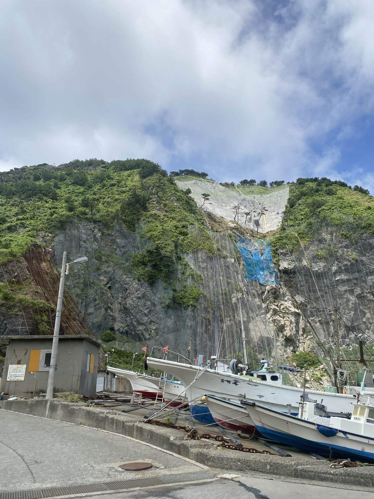 若郷｜あしたば