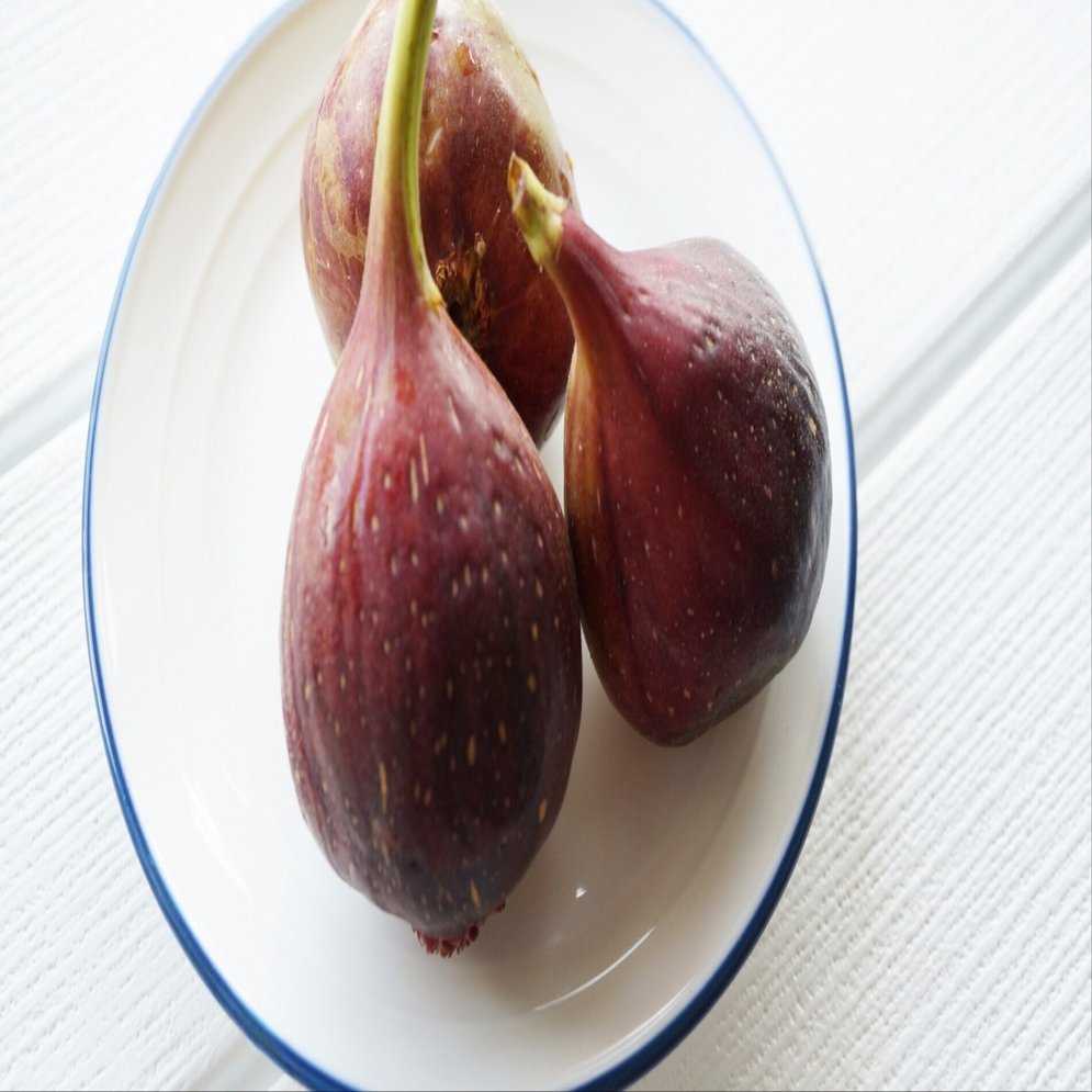 性の表徴　無花果 Oro Rosato Fig (オロ ロサト イチジク)の特徴・味・耐寒性