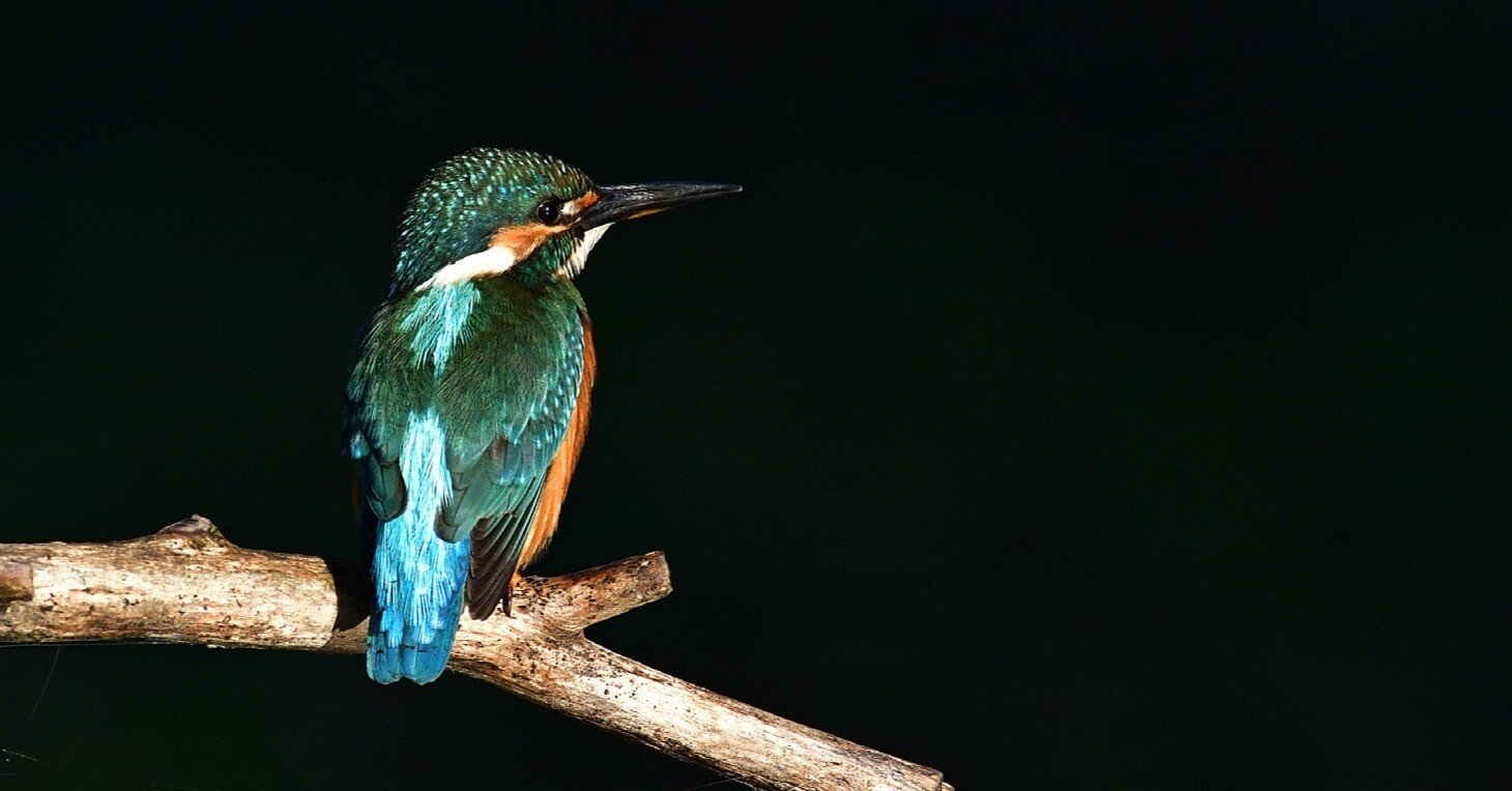 d1e6099a826e746f971d8b8f27cd89