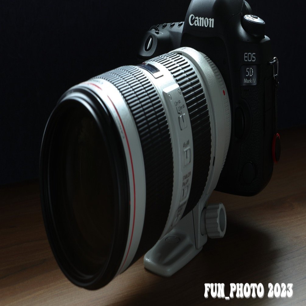 デジタルカメラ EF70-200mm F2.8L USM EF70-200mm F2.8L IS III USMと5DMarkⅣの組み合わせの雑感
