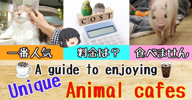 【こんな動物も?!】A guide to enjoying unique animal cafes in Japan | アニマルカフェの楽しみ方