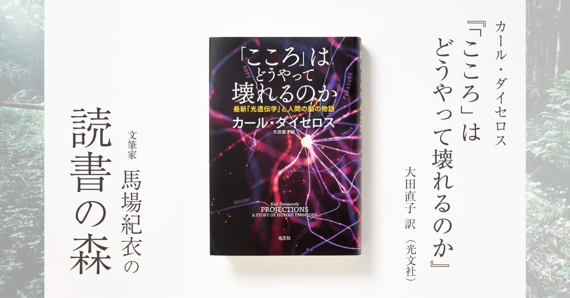 こころ」はどうやって壊れるのか』｜馬場紀衣の読書の森 vol.27