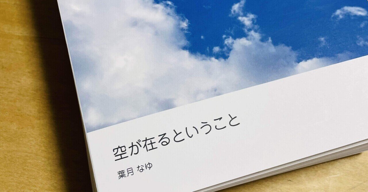 Amazon.co.jp: ZEEYUAN レザースクラップブックアルバム 60
