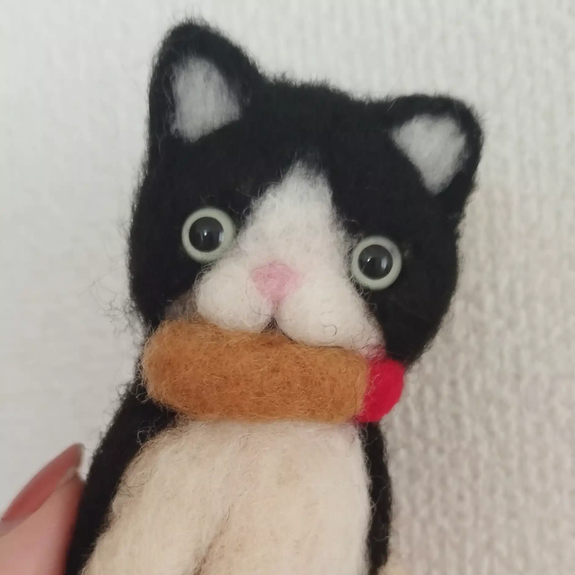 えびふらいにゃんこ🍤🐈️