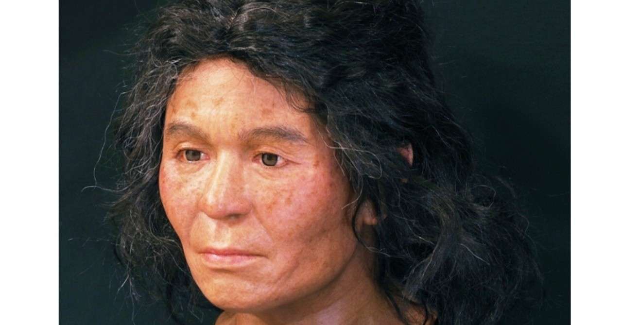 縄文人はお酒に強かった Haruna Oda Note