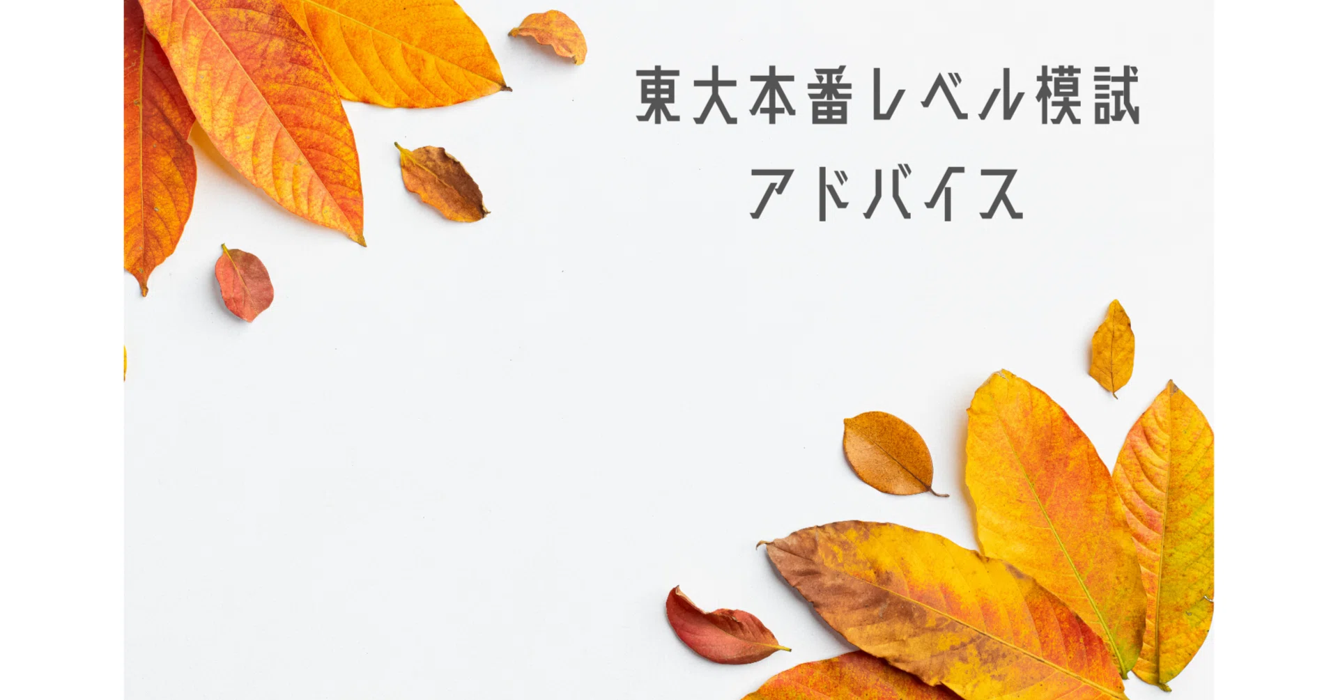 10/15実施第3回東大本番レベル模試アドバイス（高3文系向け）｜東進