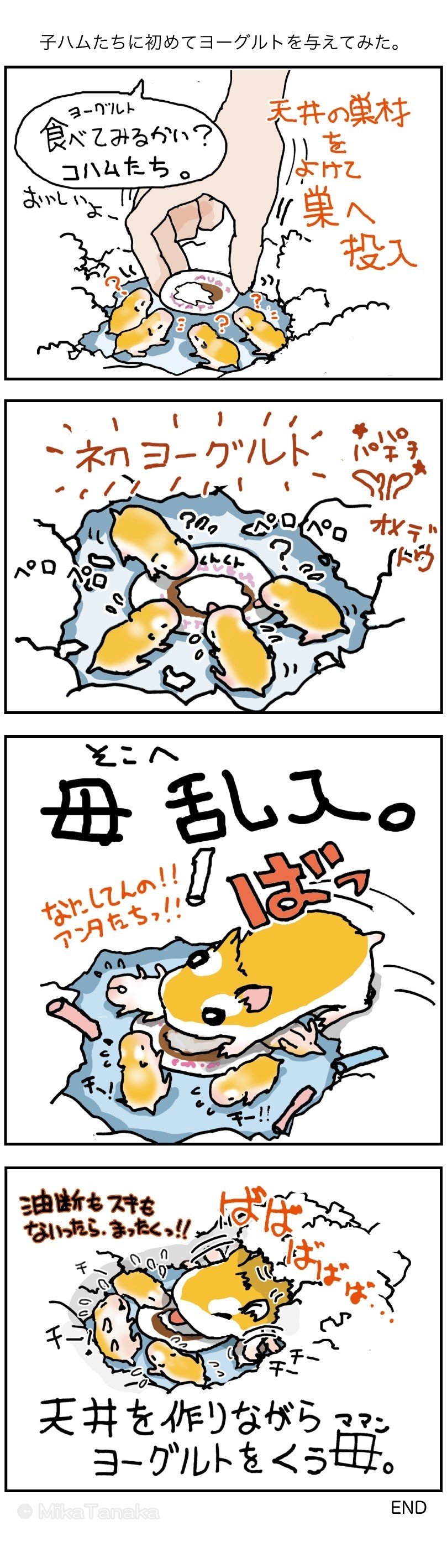 02_4koma_初めてのヨーグルト