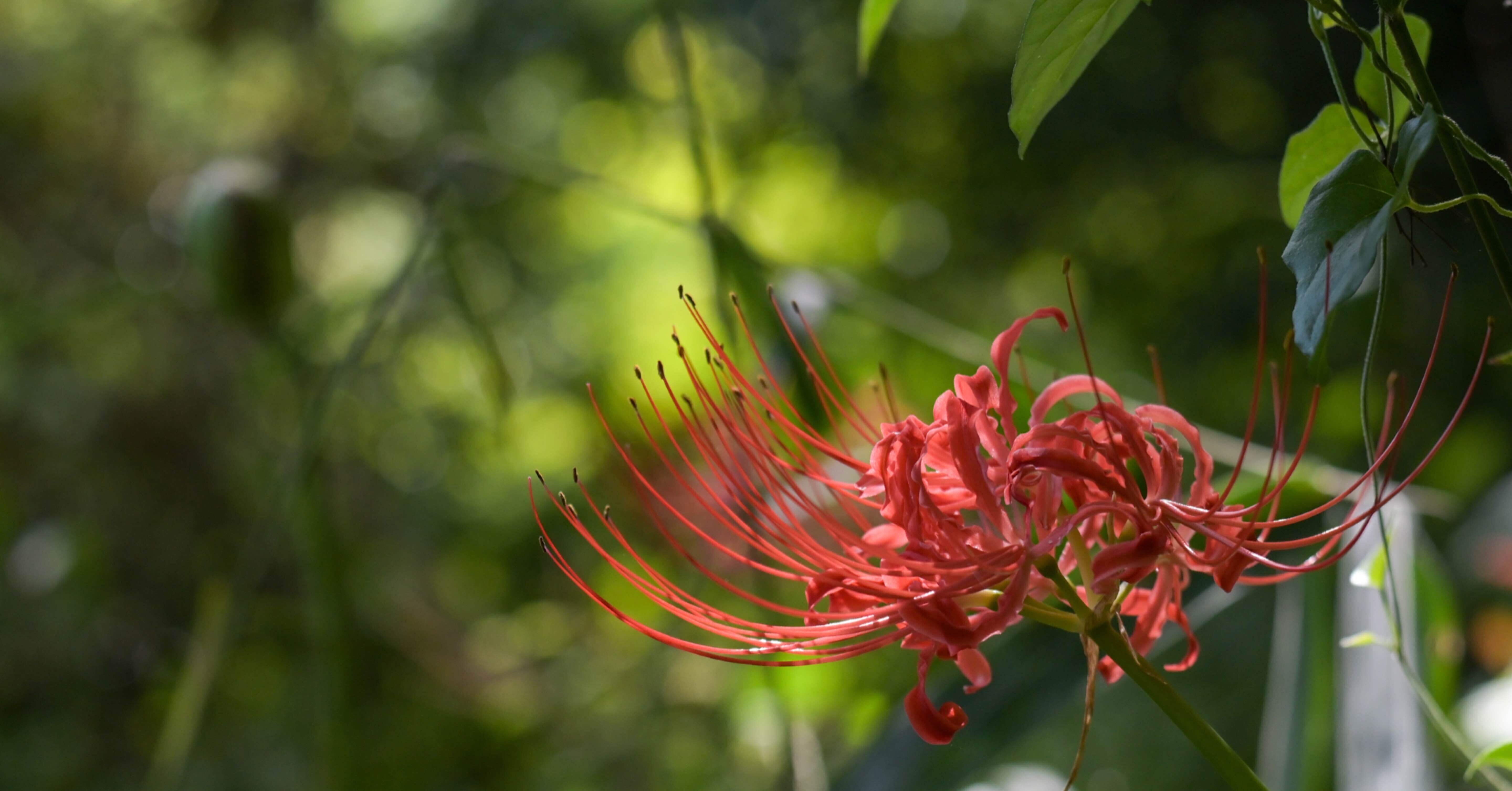 85e1faab12a7277e7ad87d6e91b97e