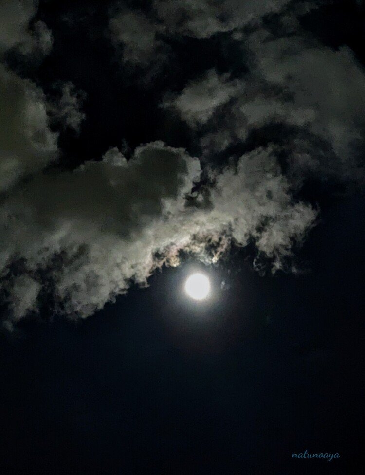 夜10時。
仕事帰りに見上げた宵待月。
時折雲に隠れましたが、
疲れを忘れるほど美しい月でした。
明日は十五夜…。