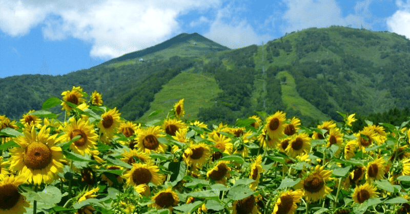 がんが再発