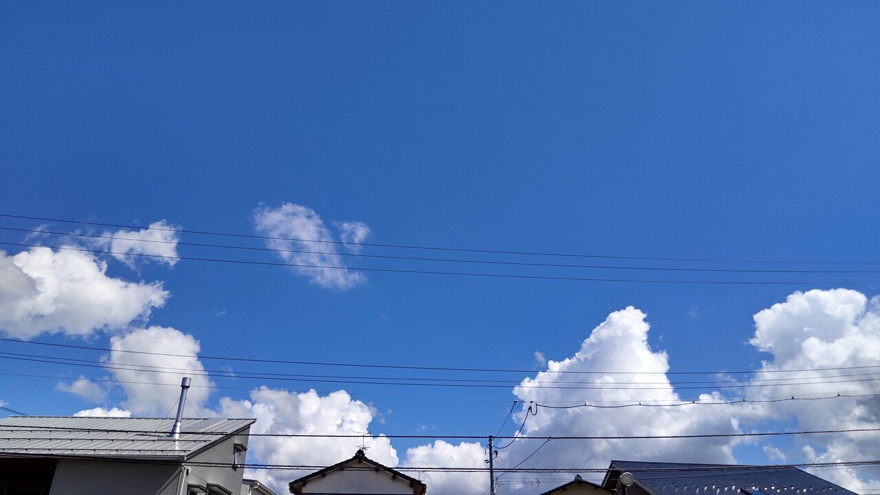 入道雲 自分の中で今年の見納めとした、入道雲っぽい雲が私を見おろすから、負けじと思いっきり顔をあげたら、昨日よりも、やさしい気持ちになれた。  ９月も終わる週末の昼。 入道雲、大好き、ありがとう！ 追記 今夜は中｜ゆきやな