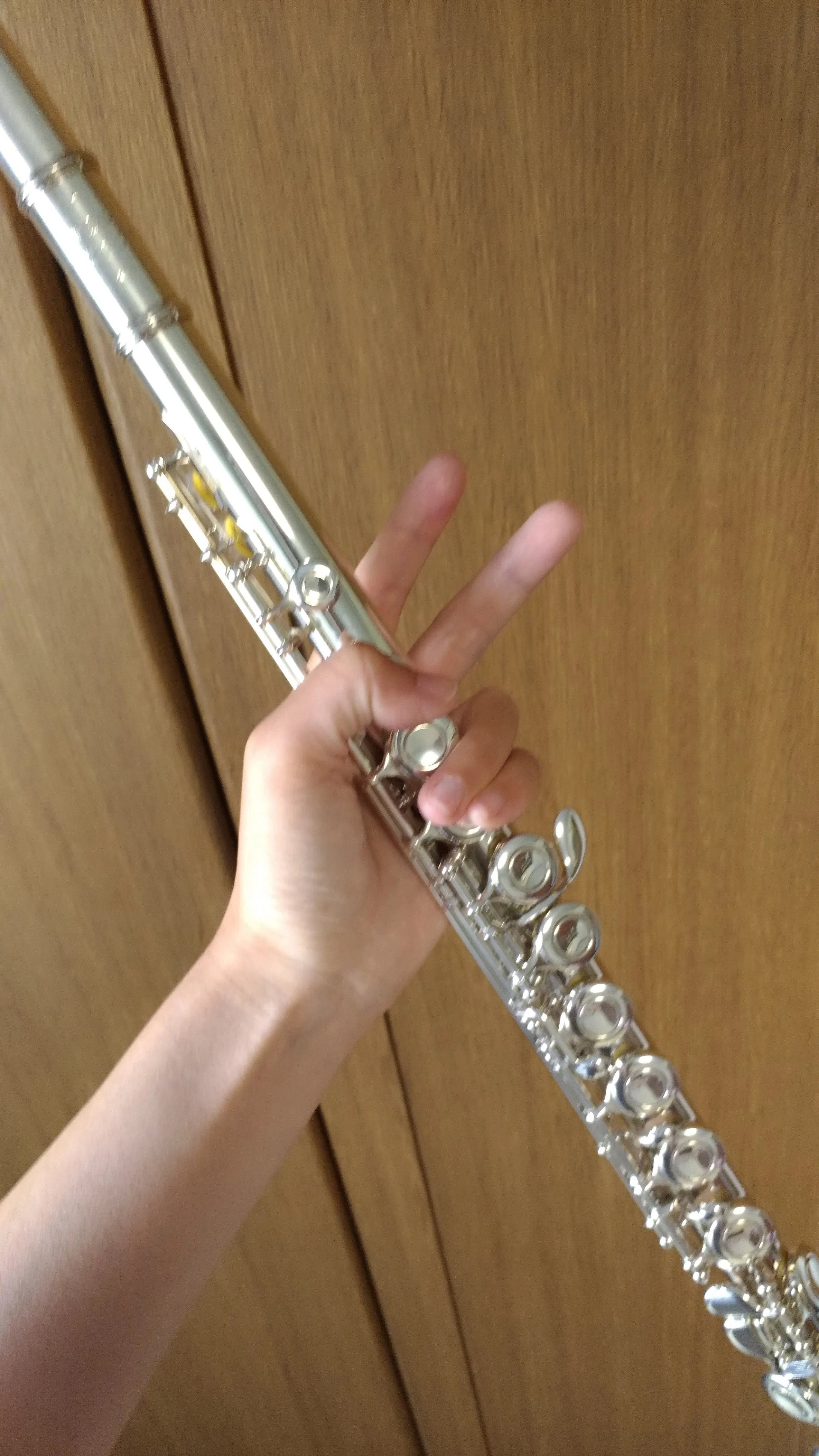 フルートを購入して1年が過ぎようとしている。練習の進み具合まとめ
