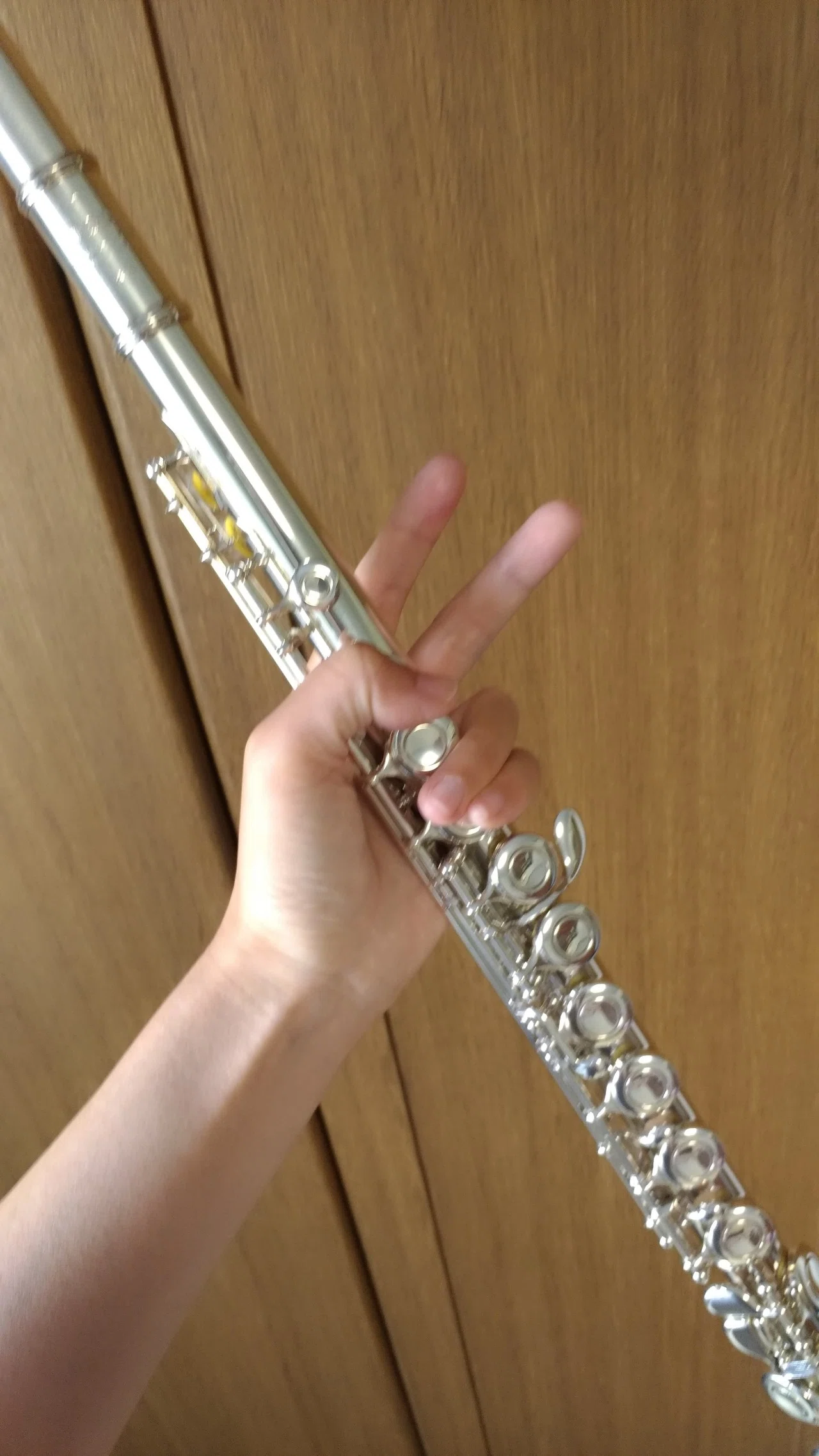 フルートを購入して1年が過ぎようとしている。練習の進み具合まとめ 