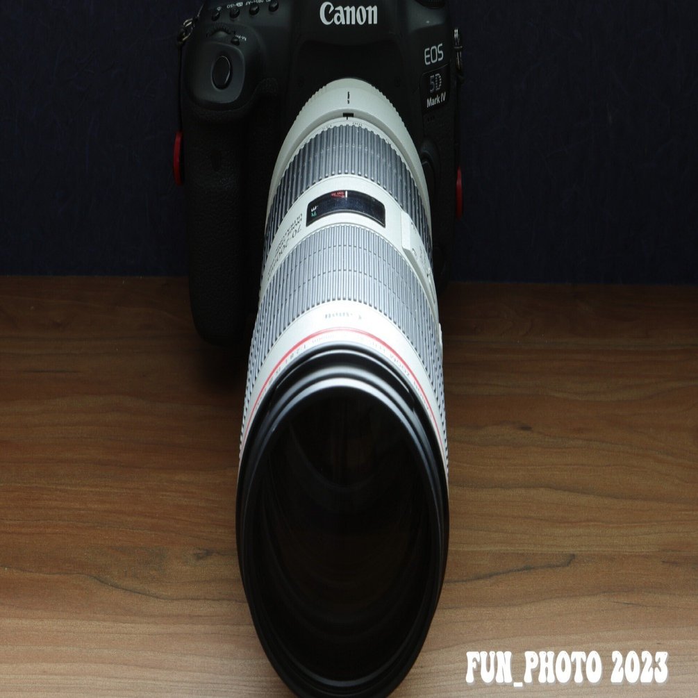 そりゃ、望遠のF2.8レンズは、高くて重くて負荷ばかりです。でもね