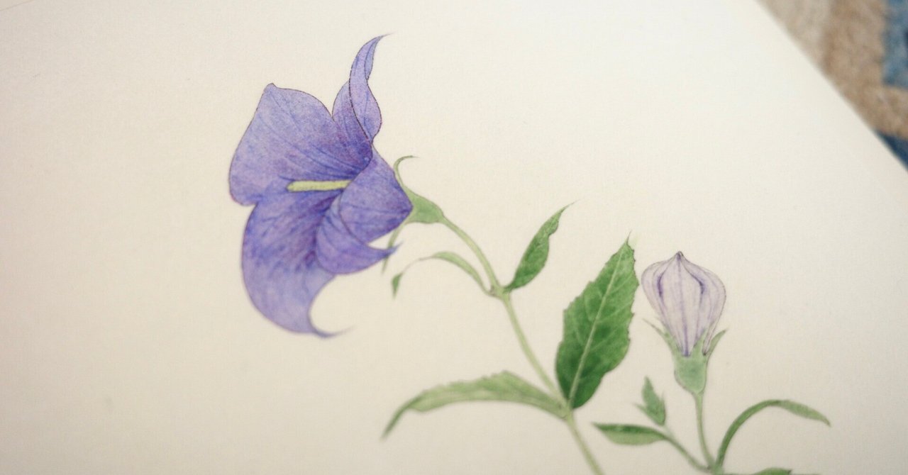 アクリル画 月と桔梗 アクリル画 月と桔梗 絵画