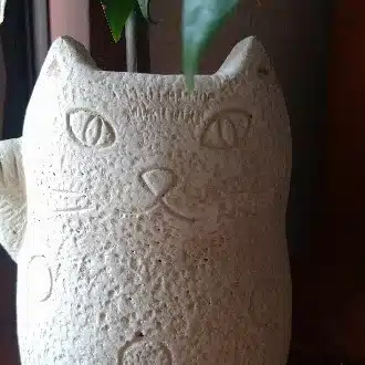 ねこっち
