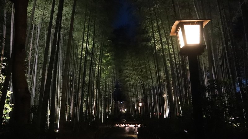 夜の修善寺は魅力的 ことっちゃん Note 夜の修善寺は魅力的 ことっちゃん Note