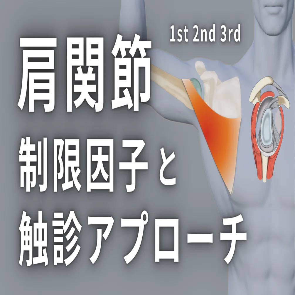 肩関節の痛みと制限因子およびその治療法 【公式通販】