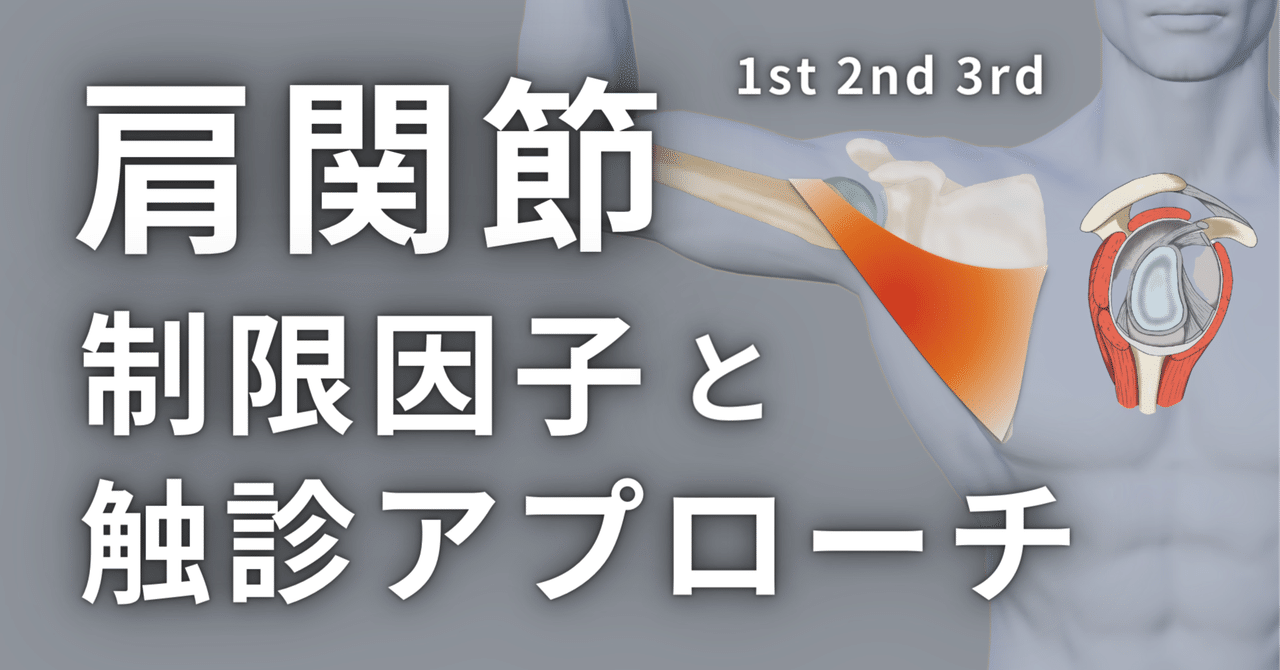 肩関節のしくみから疼痛 ・ 可動域制限の対応までとことん学ぶ ！ ～【全3巻】 肩関節の評価と屈曲外転可動域制限に関わる部位！原則・法則から