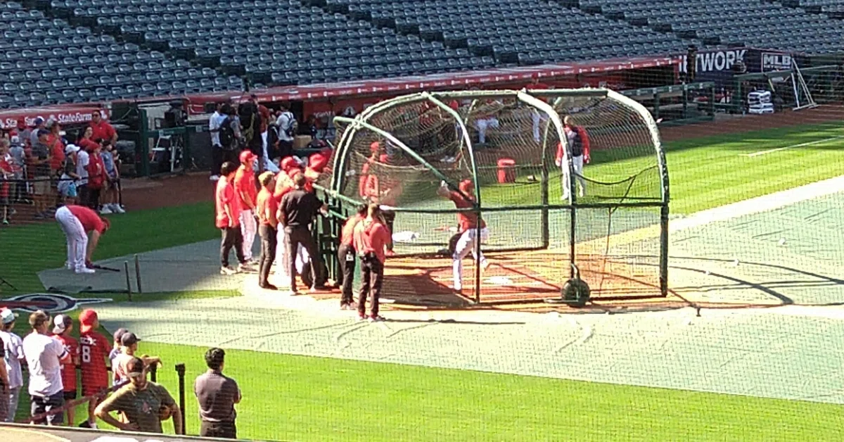 MLB公式 Angels球場購入 2022年版ラリーモンキー MLB公式 Angels球場購入 2022年版ラリーモンキー
