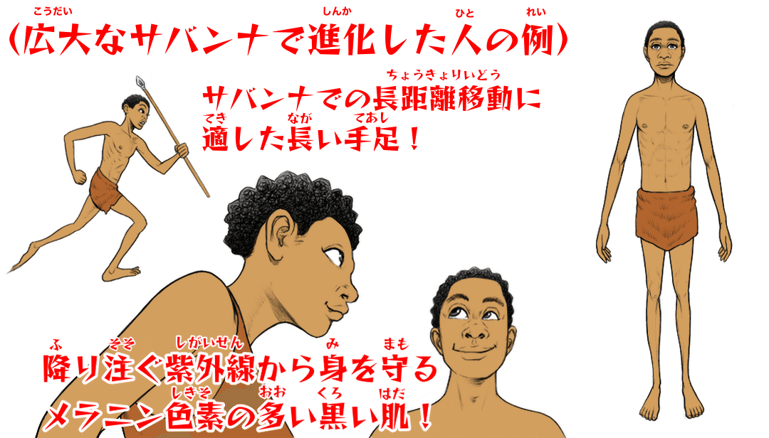 旧石器時代｜kiwamejapan