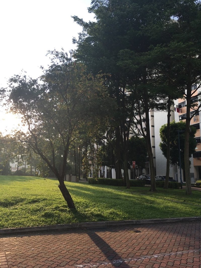 セントーサへの入り口近くの懐かしのホーカー Telok Blangah Crescent No Hawker No Life In Singapore Note セントーサへの入り口近くの懐かしのホーカー Telok Blangah Crescent No Hawker No Life In Singapore Note
