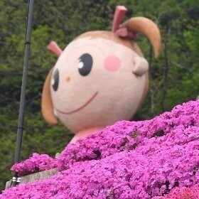 酒器 彩泥線象嵌 丹波｜ズレタこ