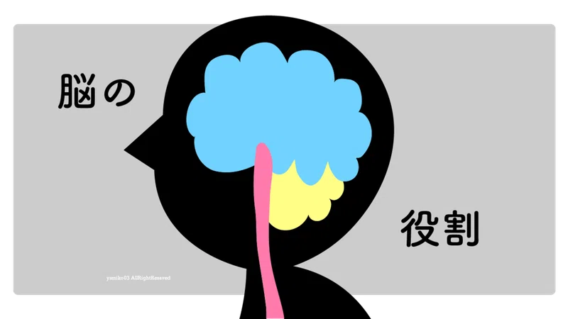 小学生でもわかる 脳死と植物状態の違い 現役美大生やみこ Note