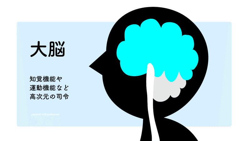 小学生でもわかる 脳死と植物状態の違い 現役美大生やみこ Note