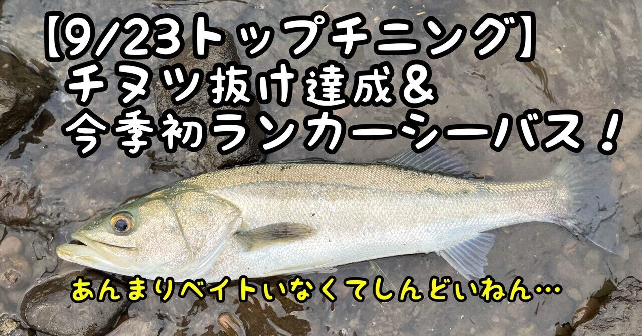 シーバス、色々 楽天市場】【2025年限定色追加】メガバス(Megabass) X-80Jr. SW