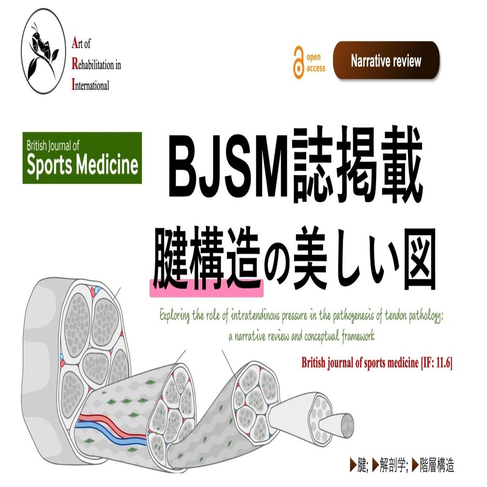 BJSM誌掲載。腱構造の美しい図｜Super Human | 理学療法士／保健学博士