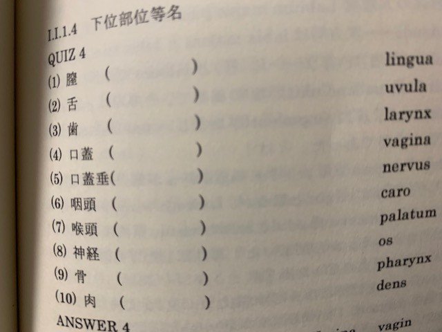 おすすめ ラテン語教材 英語とラテン語 と君と 北星堂 はすべてが規格外で よほどな語学好きでないと手が出せない 八代矢於紀 ヤシロヤオキ オバケ 妖怪 幻想文学の話で海外交流 Note