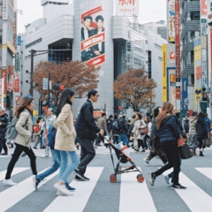田中美佐子柴田恭兵スチール写真セット 田中美佐子柴田恭兵スチール写真セット 田中美佐子柴田恭兵スチール