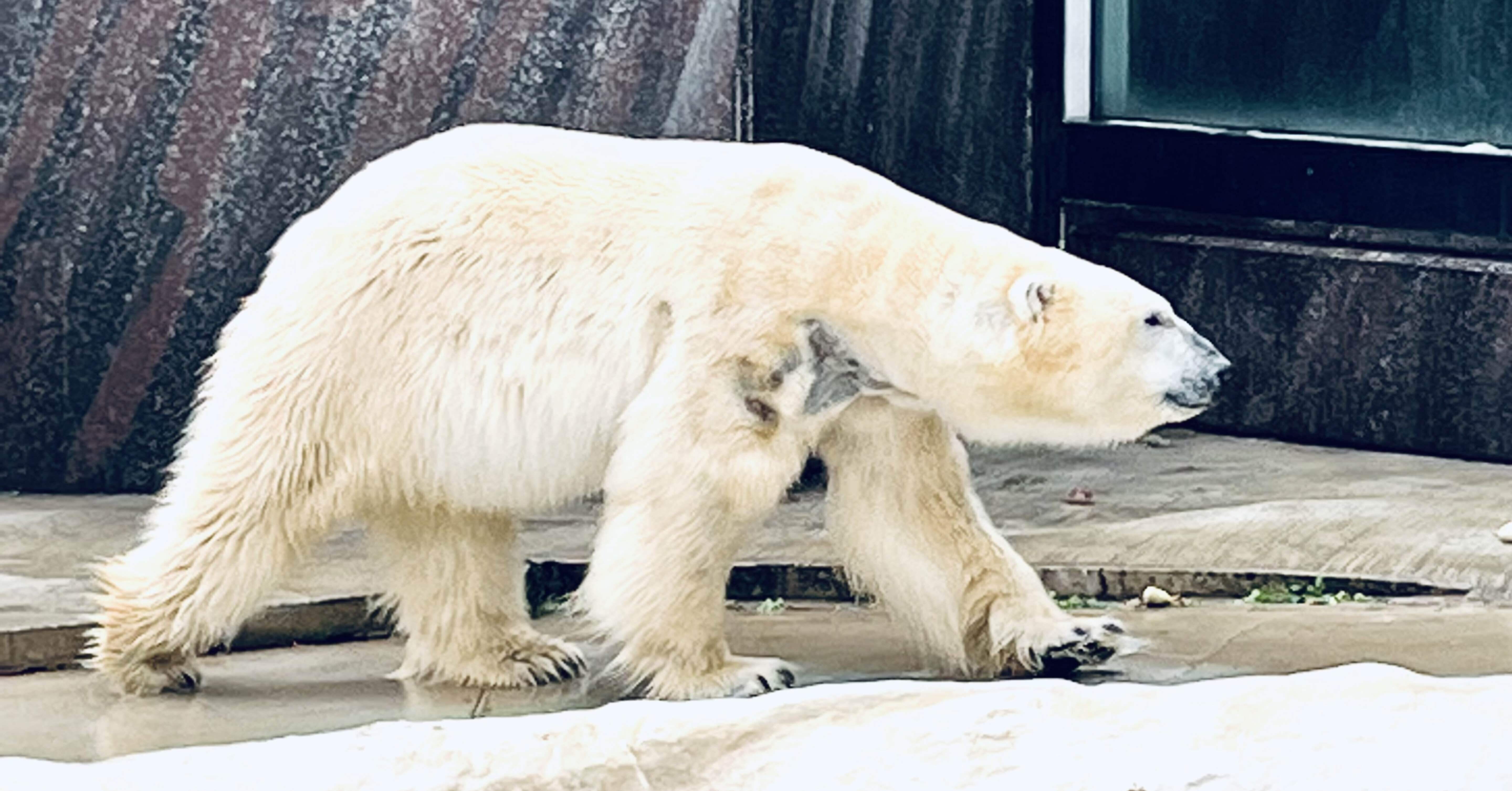 54aa1dbd7bbe02711289b7c4b13e3e