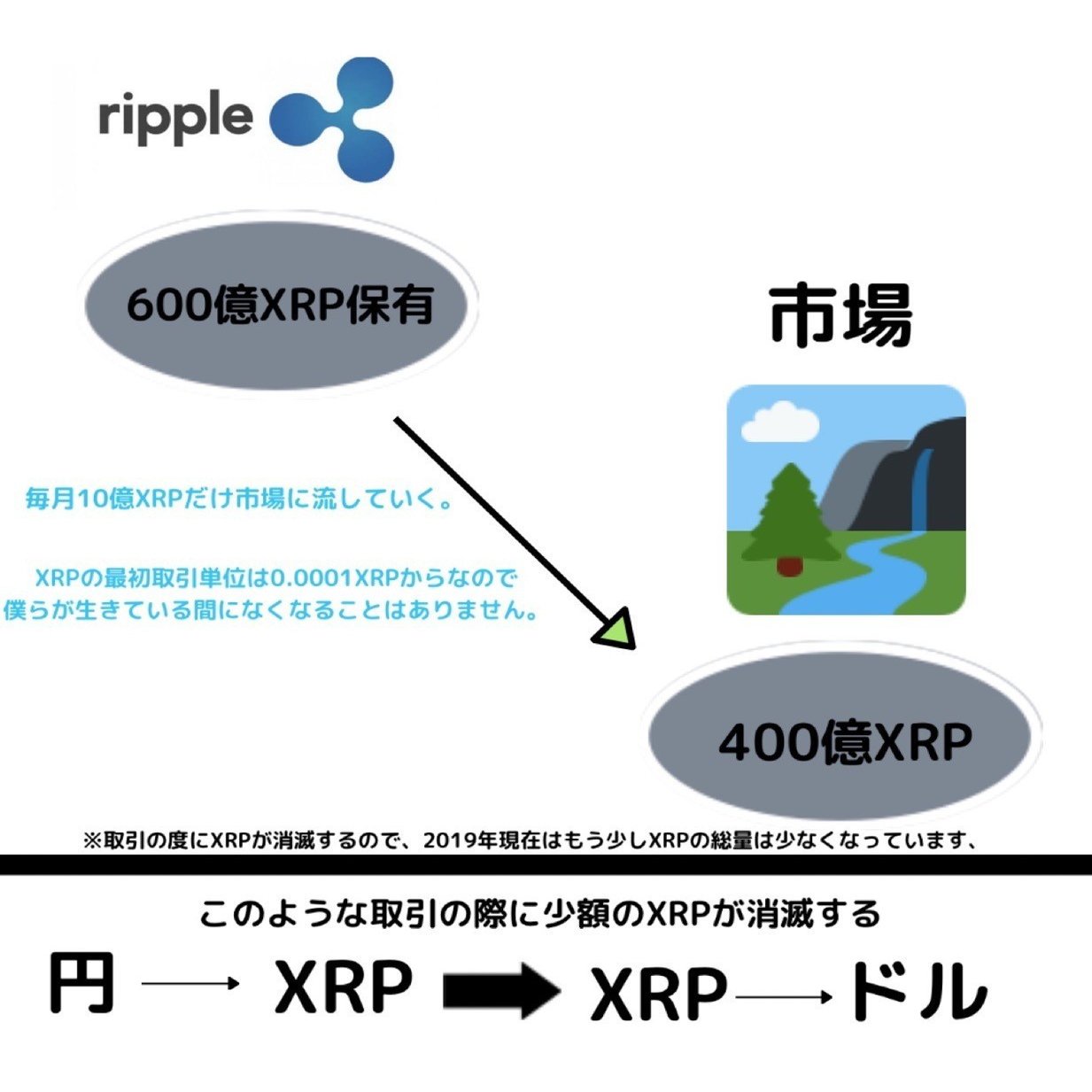 ざっくり仮想通貨vol,5.2~アルトコイン3つとビットコインを比較〜XRP｜ニッシー