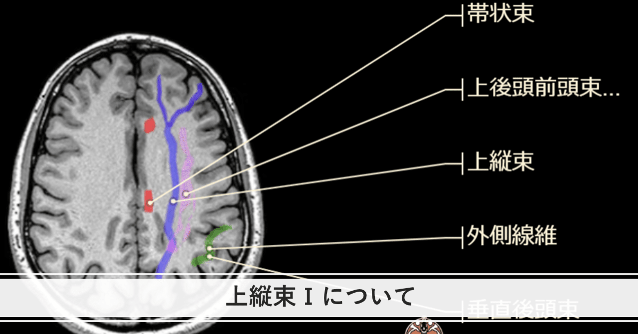 【ME270-E】運動連鎖アプローチの臨床思考過程 PART 2【全5巻】 Amazon.co.jp: 【ME270-E】運動連鎖アプローチの臨床思考過程